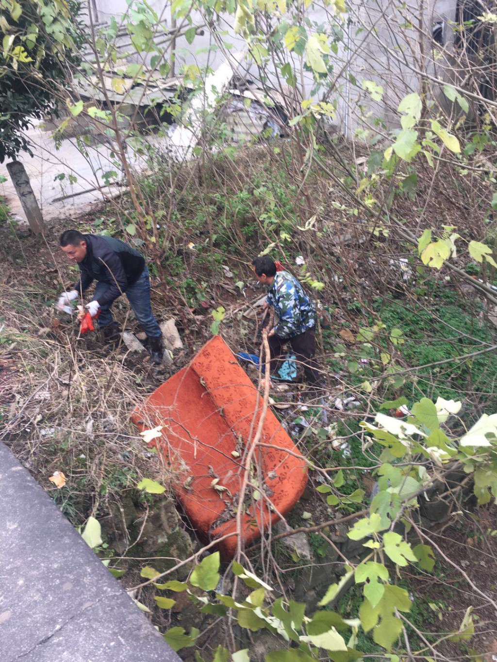 加强农村人居环境整治  建设美丽董家塅