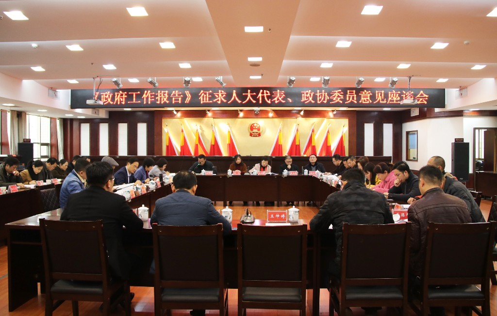 王利波主持召开《政府工作报告》征求意见座谈会