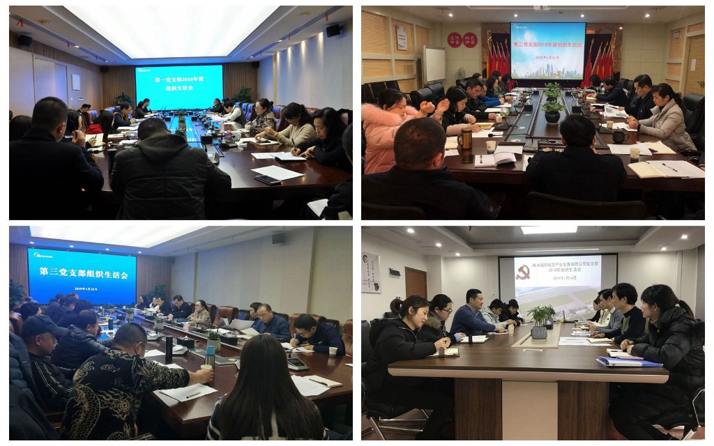 新芦淞集团各党支部召开2018年度组织生活会