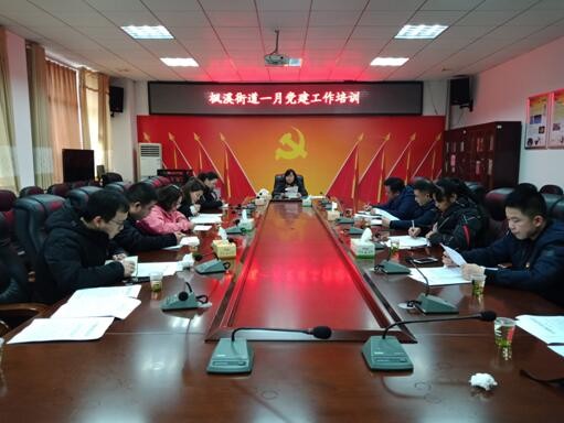 枫溪街道召开2019年1月党建工作培训会
