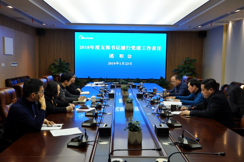 新芦淞集团党委开展2018年度支部书记抓党建述职评议
