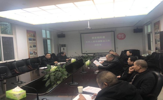 加强农村人居环境整治  建设美丽董家塅
