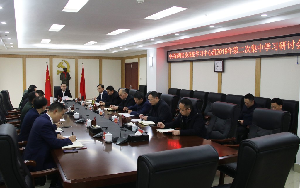 区委理论学习中心组进行2019年第二次集中学习研讨