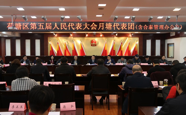 人大代表分团讨论，各抒已见共谋荷塘发展