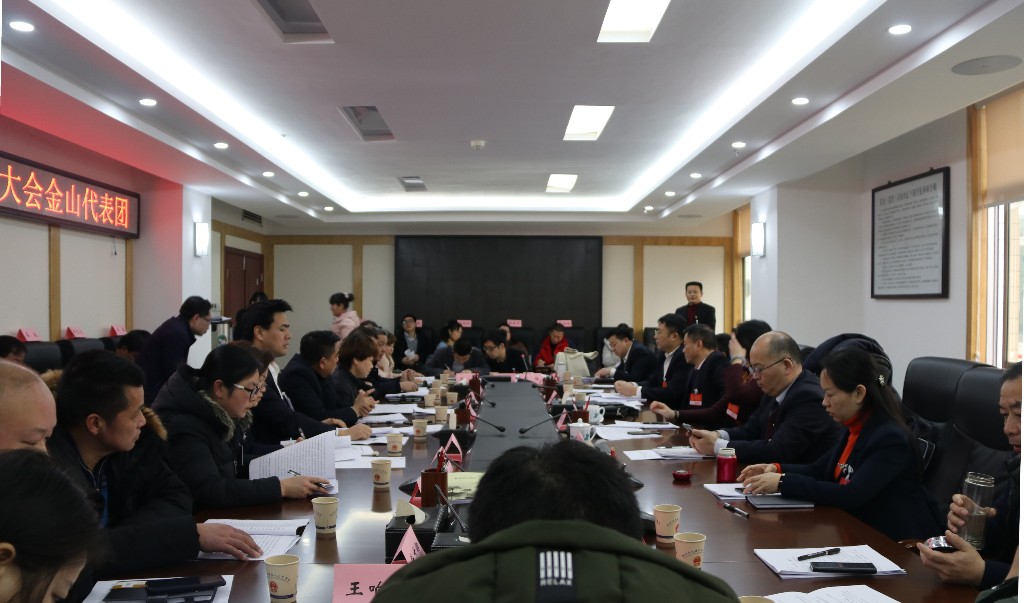 人大代表分团讨论，各抒已见共谋荷塘发展