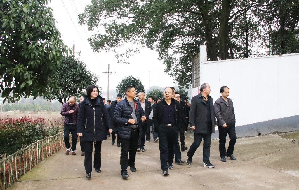 荷塘区召开农村人居环境整治工作推进会