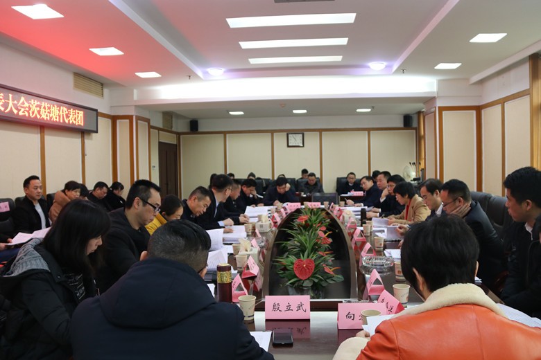 人大代表分团讨论，各抒已见共谋荷塘发展