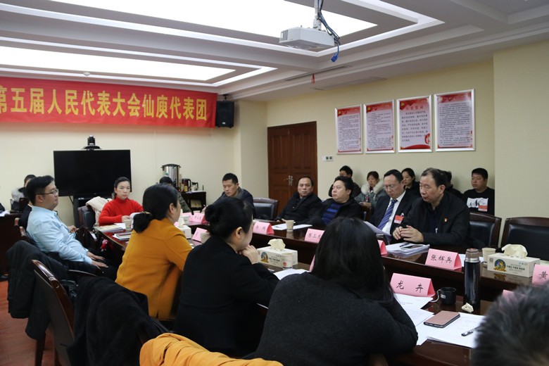 人大代表分团讨论，各抒已见共谋荷塘发展