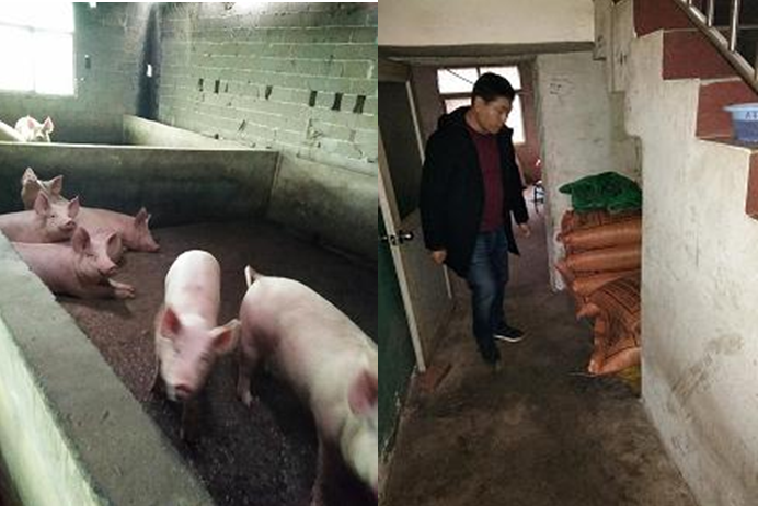 严密防控“非洲猪瘟”，对我办各村养殖户进行摸底排查