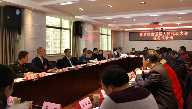 人大代表分团讨论，各抒已见共谋荷塘发展