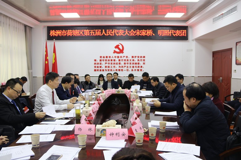 人大代表分团讨论，各抒已见共谋荷塘发展