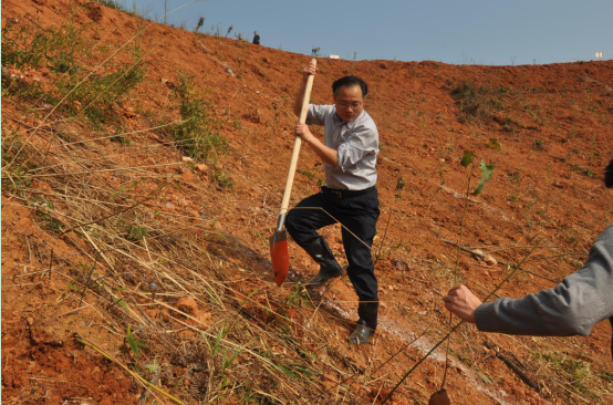 跃上荒山植树去  振兴乡村添绿彩