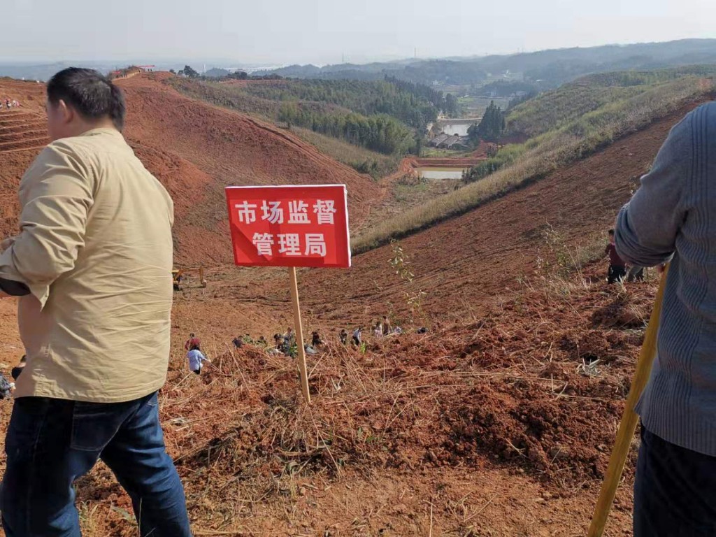 改善人居生态环境，建设株洲美丽乡村 天元区开展2019年义务植树活动