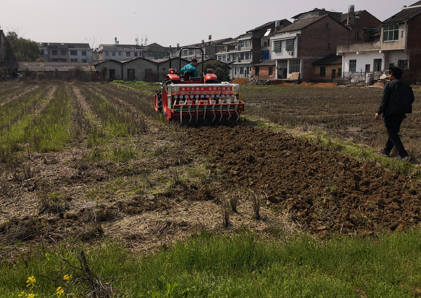 渌口区启动特聘农技员计划 农技指导深入田间地头