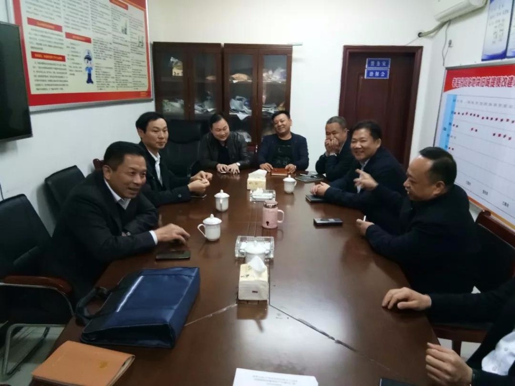 市人大常委会副主任冯建湘到芦淞区调研意法服饰城项目