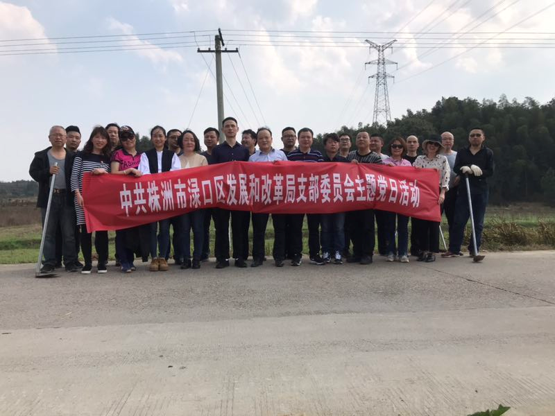 渌口区发改局开展“植树节”主题党日活动