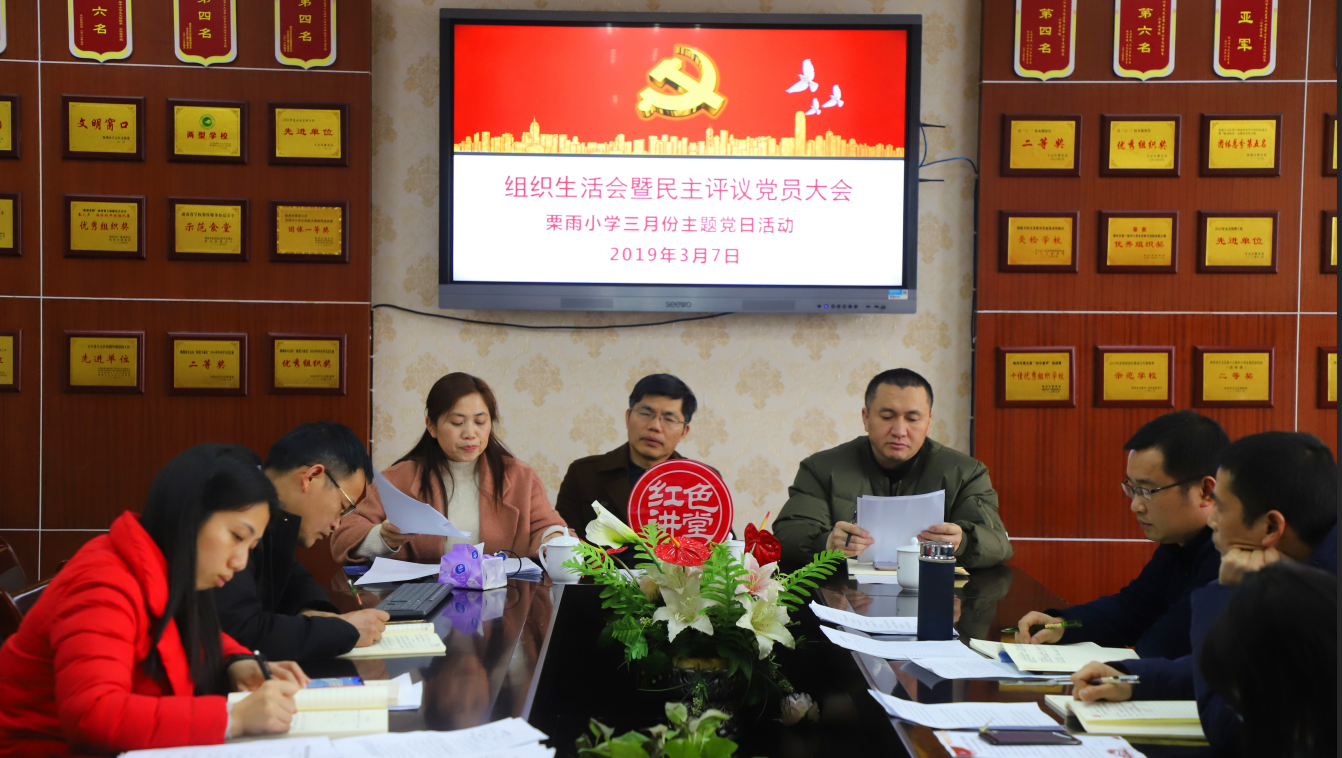开诚布公提意见 查摆问题促提升 ----栗雨小学党支部组织生活会暨主题党日活动