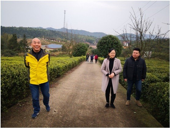 渌口区迎来株洲市环球国际旅行社责任有限公司旅游线路考察
