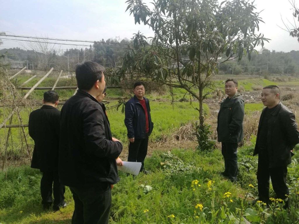 刘建南副区长深入雷打石镇调研农村污水治理