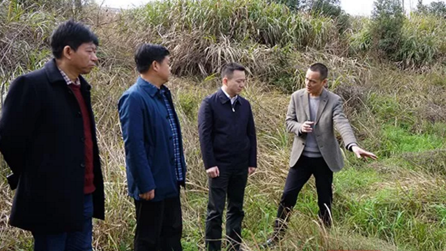 株洲加快环境问题整改工作
