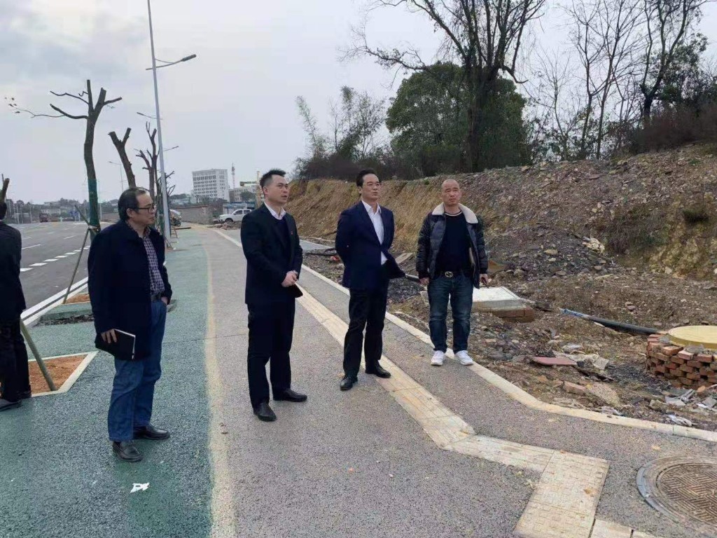 王利波督察“春雷行动”