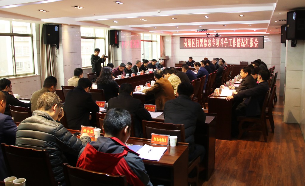 荷塘区召开扫黑除恶专项斗争工作情况汇报会