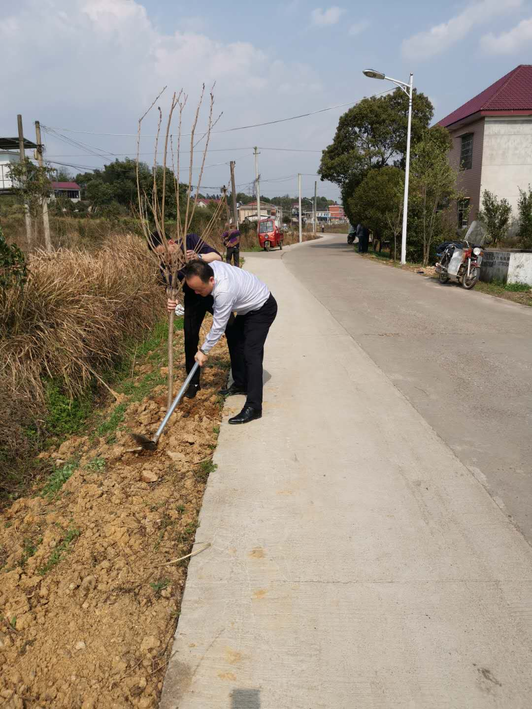 渌口区发改局开展“植树节”主题党日活动