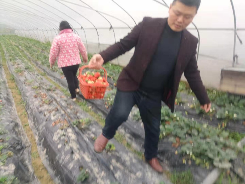 天元区开展蔬菜水果质量安全抽检