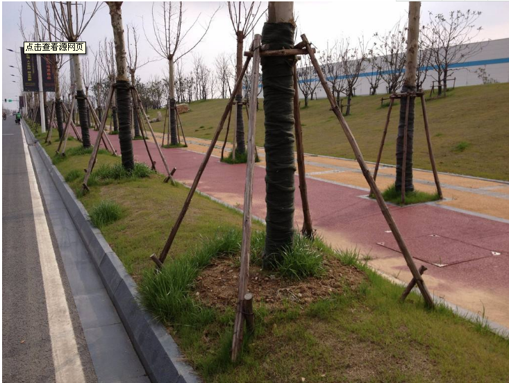 株洲市三月份园林养护工作要点