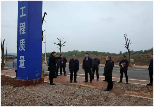 市发改委张文副主任一行来渌口区 调度项目