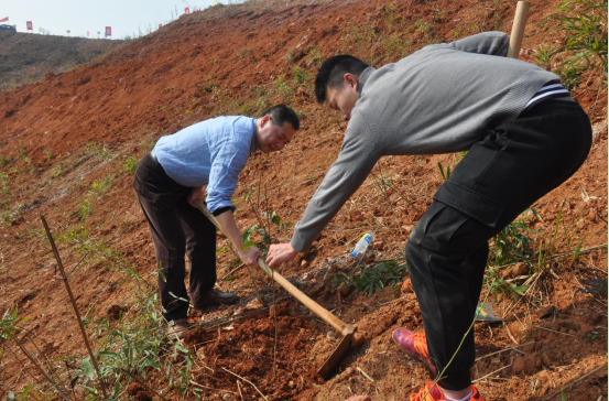 跃上荒山植树去  振兴乡村添绿彩