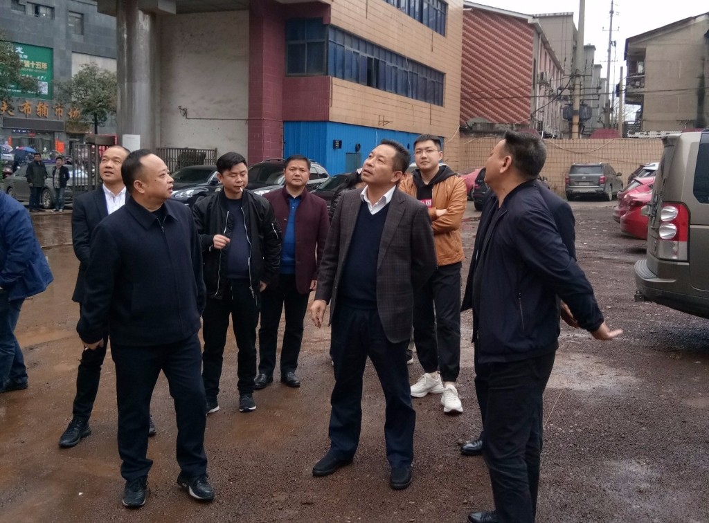 市人大常委会副主任冯建湘到芦淞区调研意法服饰城项目