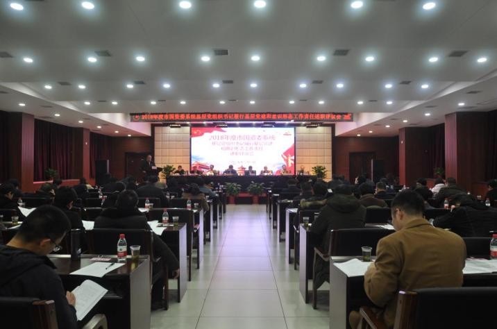市国资委系统基层党组织书记年度述职评议大会召开