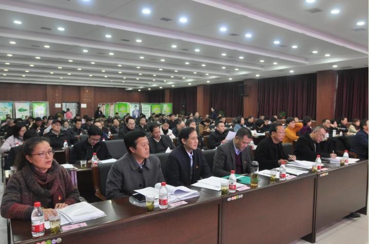 市国资委系统基层党组织书记年度述职评议大会召开