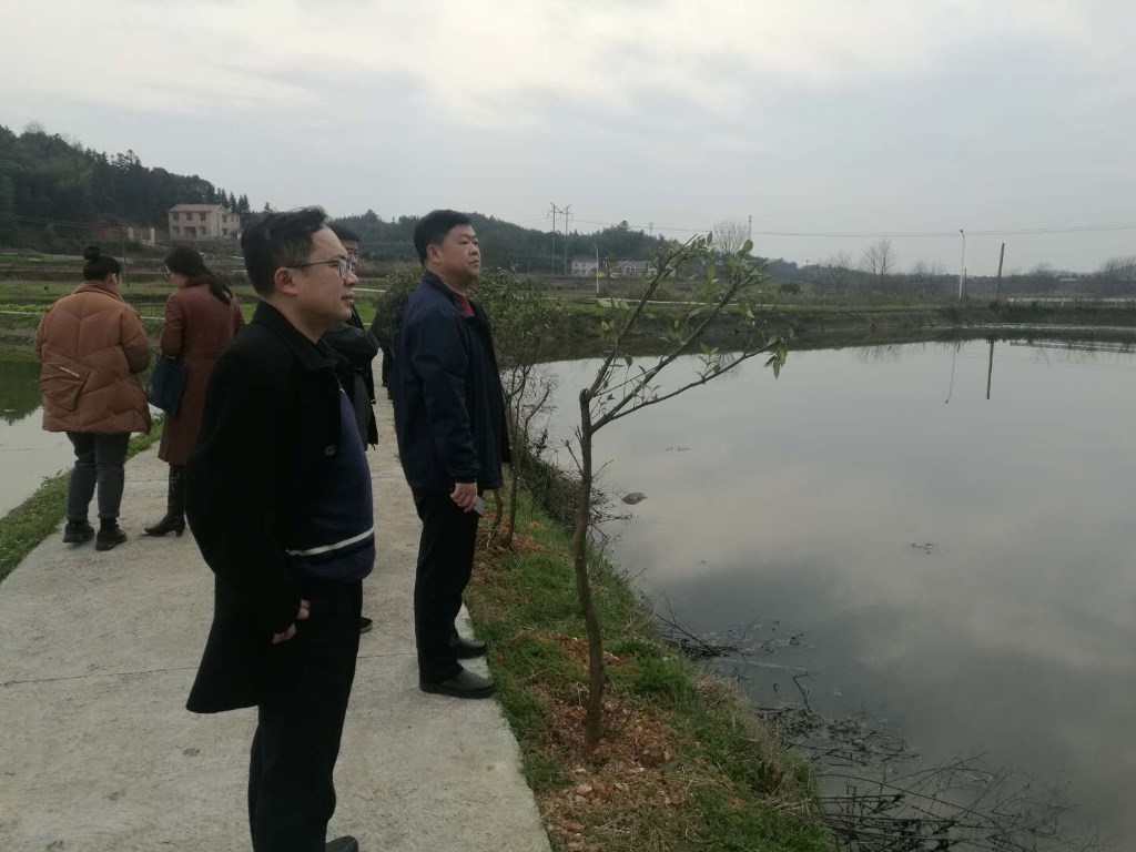刘建南副区长深入雷打石镇调研农村污水治理