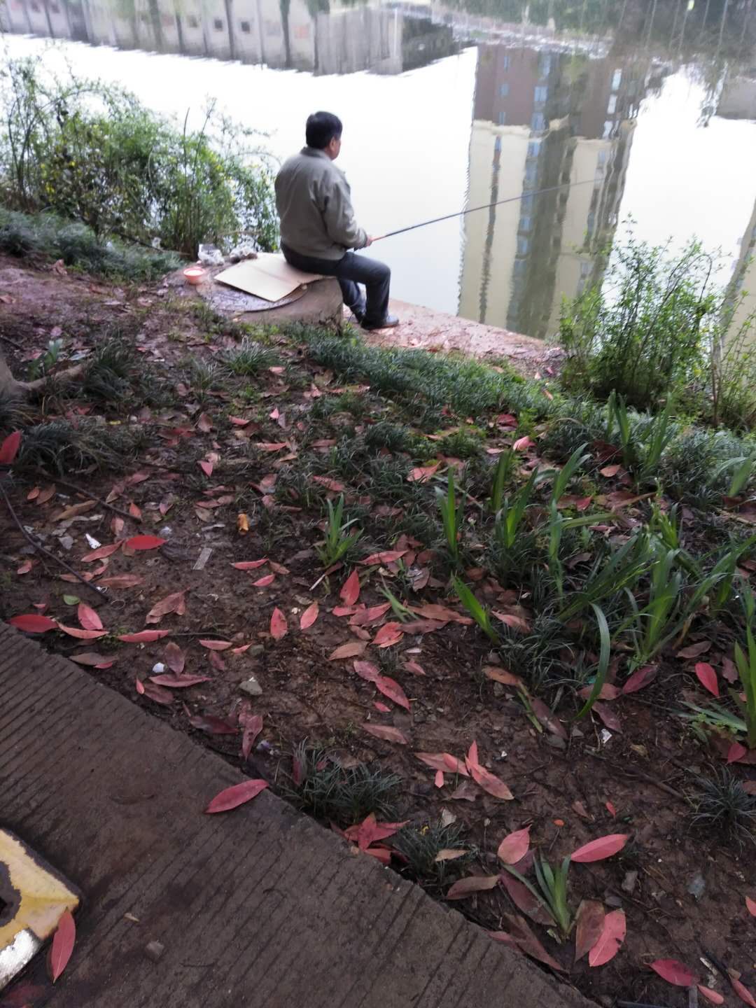 建立水生态系统  投放鱼苗2000余斤