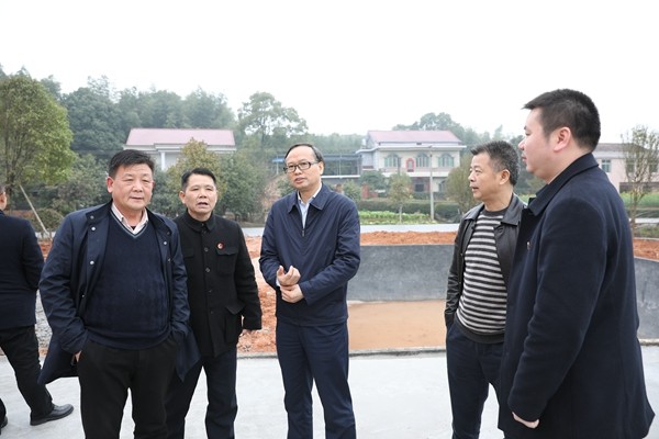 市委常委、统战部长覃万成来攸调研同心美丽乡村创建工作