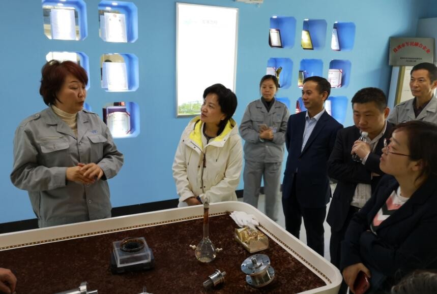 全国工商联第七联络调研组来天元区考察调研