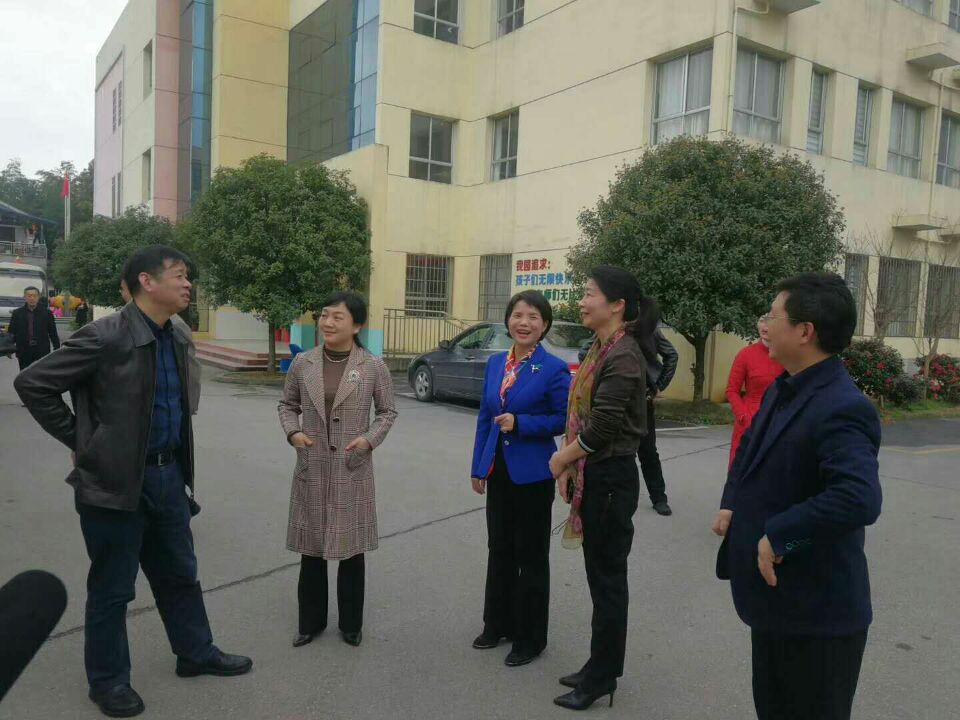 株洲市政协课题调研组来渌口区调研 推进城区学前教育优质普惠发展