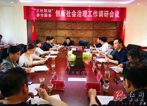茶陵县召开“城乡统筹·幸福茶陵”三社联动暨养老服务创新社会治理工作调研会