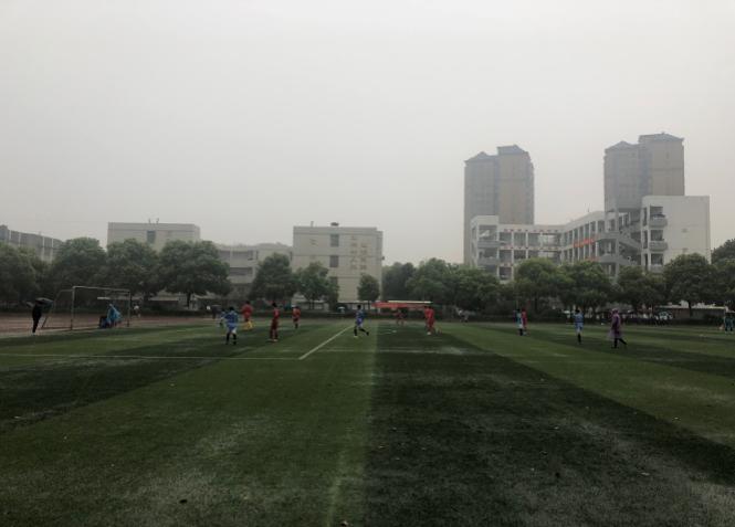 绿茵点燃梦想，激情舞动青春——株洲市渌口区第一届初中学生足球联赛圆满落幕