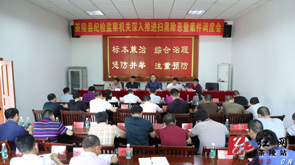 茶陵县纪检监察机关深入推进扫黑除恶暨案件调度会召开