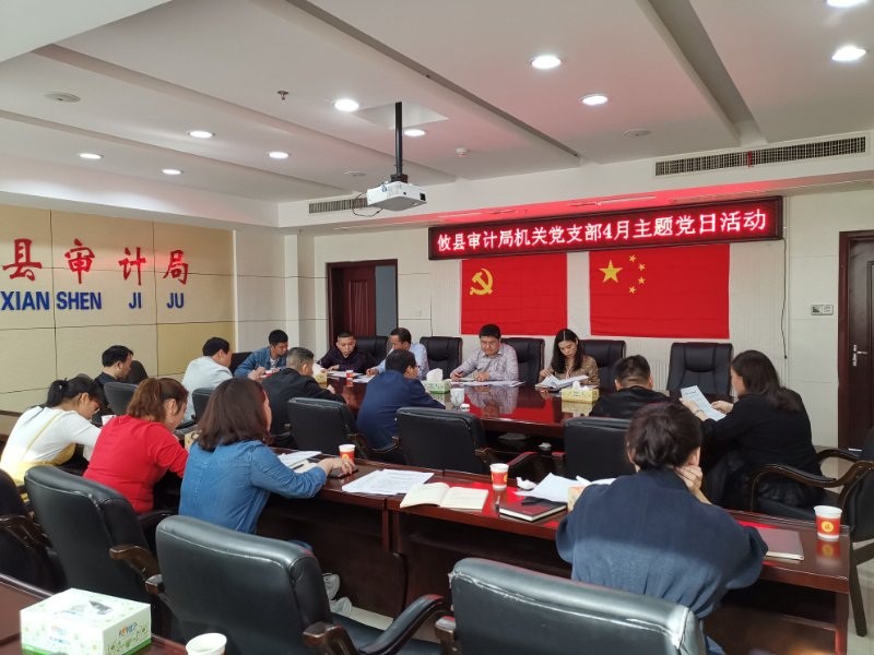 攸县审计局召开4月主题党日活动