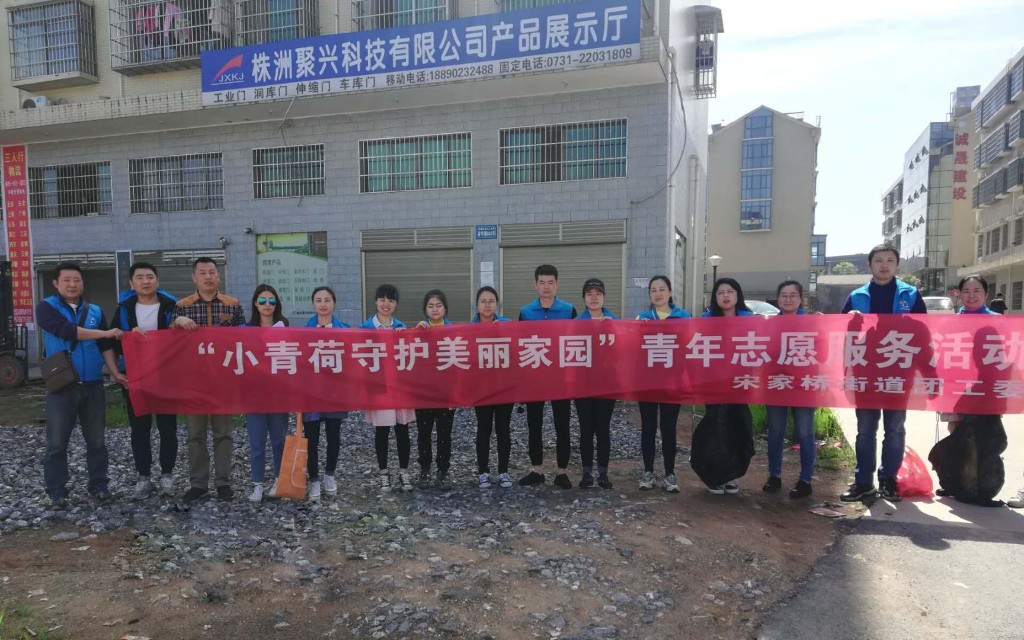 提升农村人居环境志愿者在行动