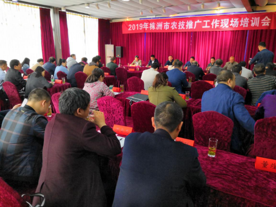 株洲市农技推广工作现场培训会在醴陵召开