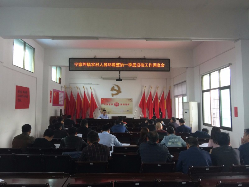 宁家坪镇召开农村人居环境整治一季度迎检工作调度会
