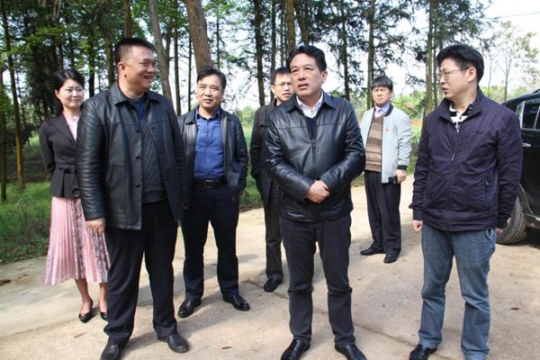 攸县切实加强清明期间森林防火工作