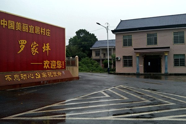 江苏省政府研究室顾问卢水生来攸调研农村集体产权制度改革工作