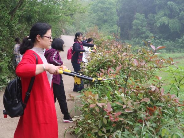 寻找“春”的味道 ——火炬幼儿园工会踏青活动