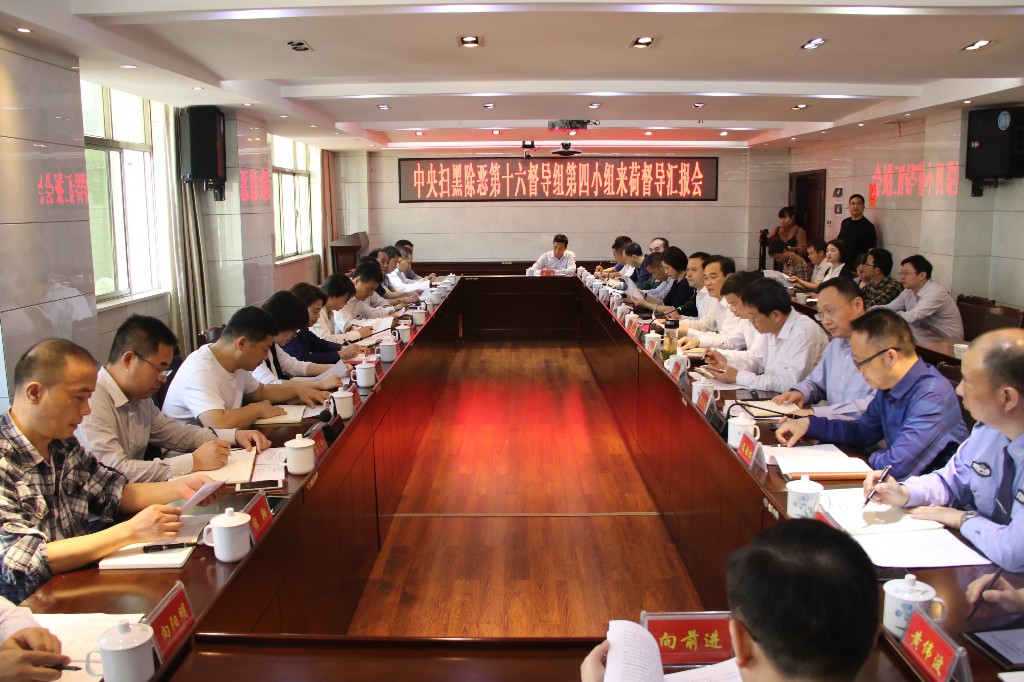 中央扫黑除恶第16督导组第4小组到荷塘区督导